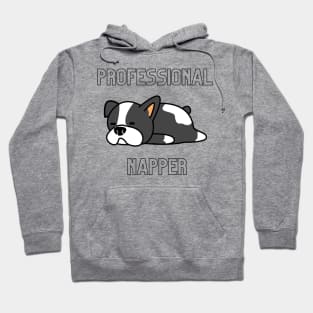 Professional Napper Hoodie